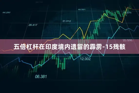 五倍杠杆在印度境内遗留的霹雳-15残骸